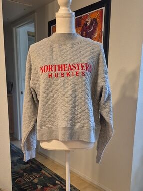 Chicka-d Gray Quilted Pullover Sweater Turtleneck Northestern Huskies